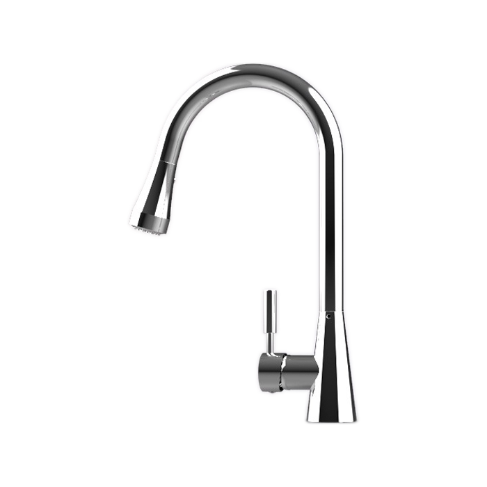 Assembly-Induction Kitchen Faucet (Brass)